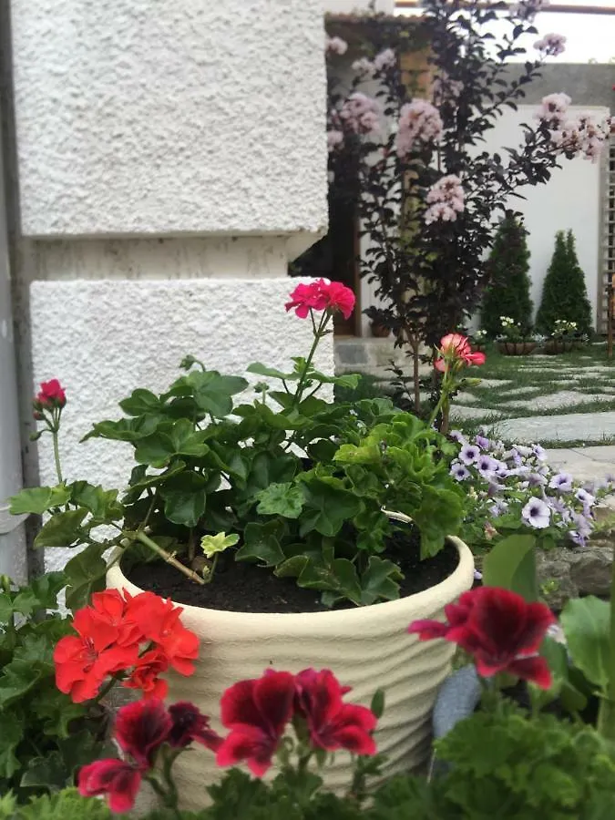 Guest house My Garden Hotel Tbilisi