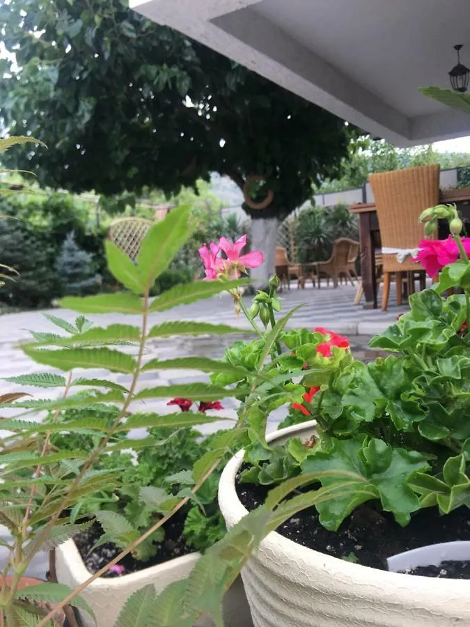 My Garden Hotel Tbilisi Georgia